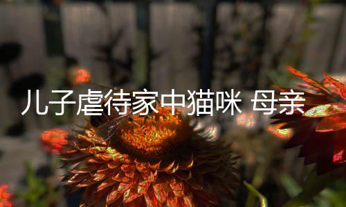 儿子烂P亲便强迫猫咪 母他砸主机家中虐待