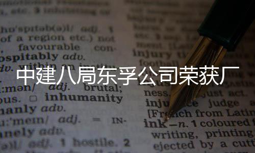 2项东孚八局民主中建公司公开管理荣获荣誉厂务