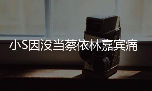 小S希望当蔡被邀请因没依林 喊话张惠妹痛哭嘉宾